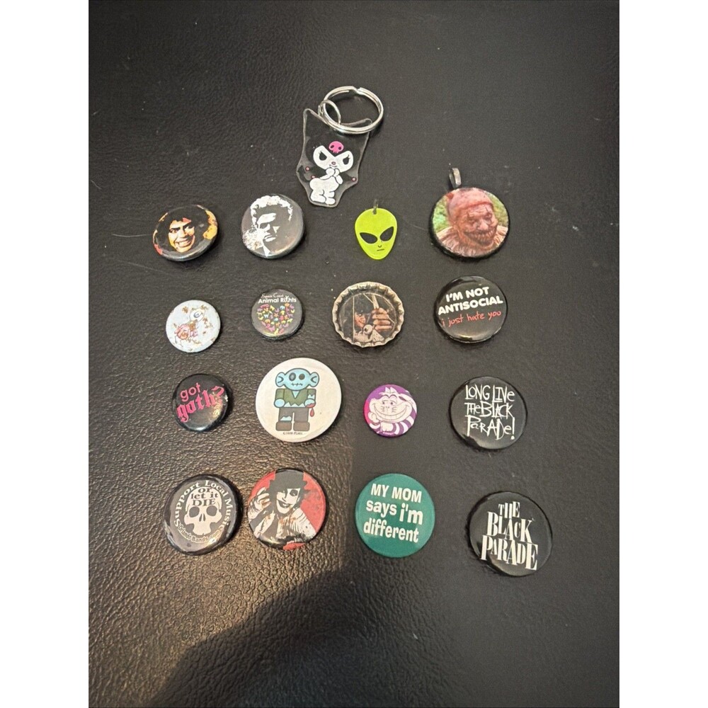 Lot Of 17 Novelty Pins And Keychains